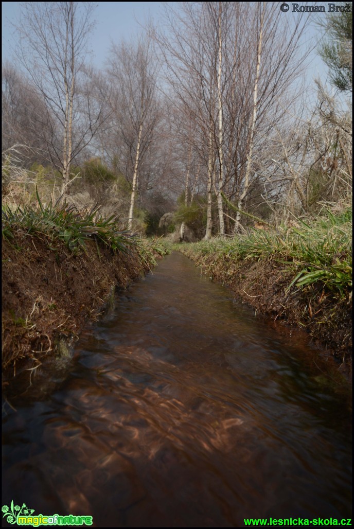 Madeira - Levada - Foto Roman Brož (21)