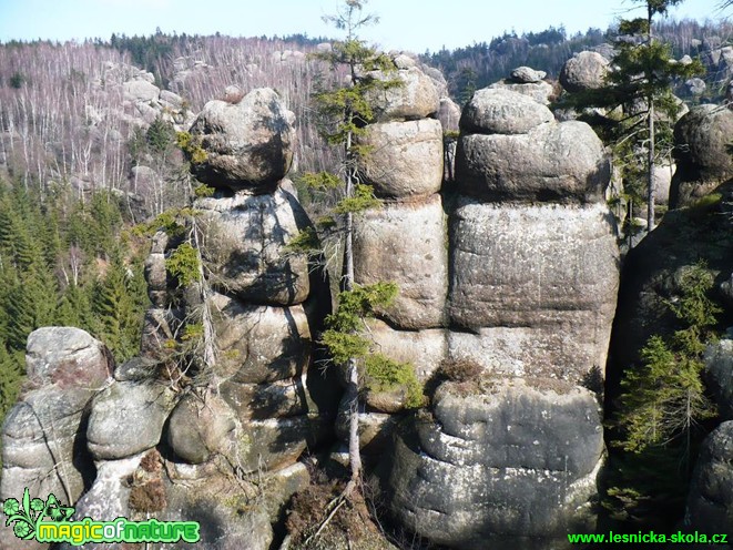 Pískovcové skály - Broumovsko - Foto Radka Mizerová