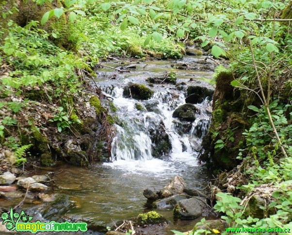 Malý vodopád - Foto Radka Mizerová