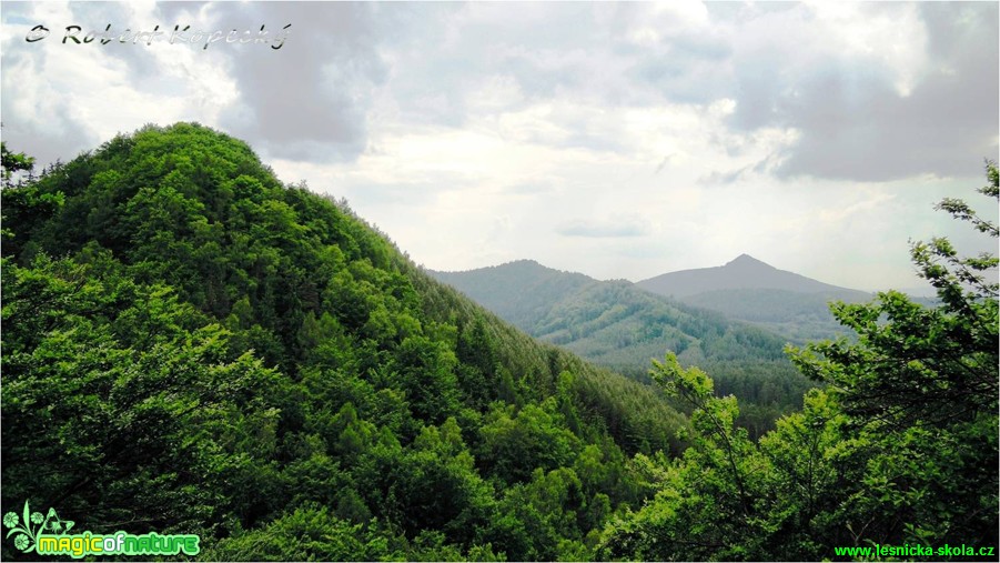 Hamerský Špičák, Kozí hřbet a Ralsko - Foto Robert Kopecký