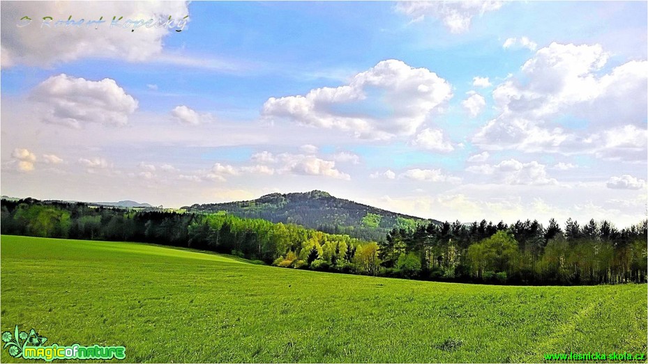 Kamenický kopec - Foto Robert Kopecký