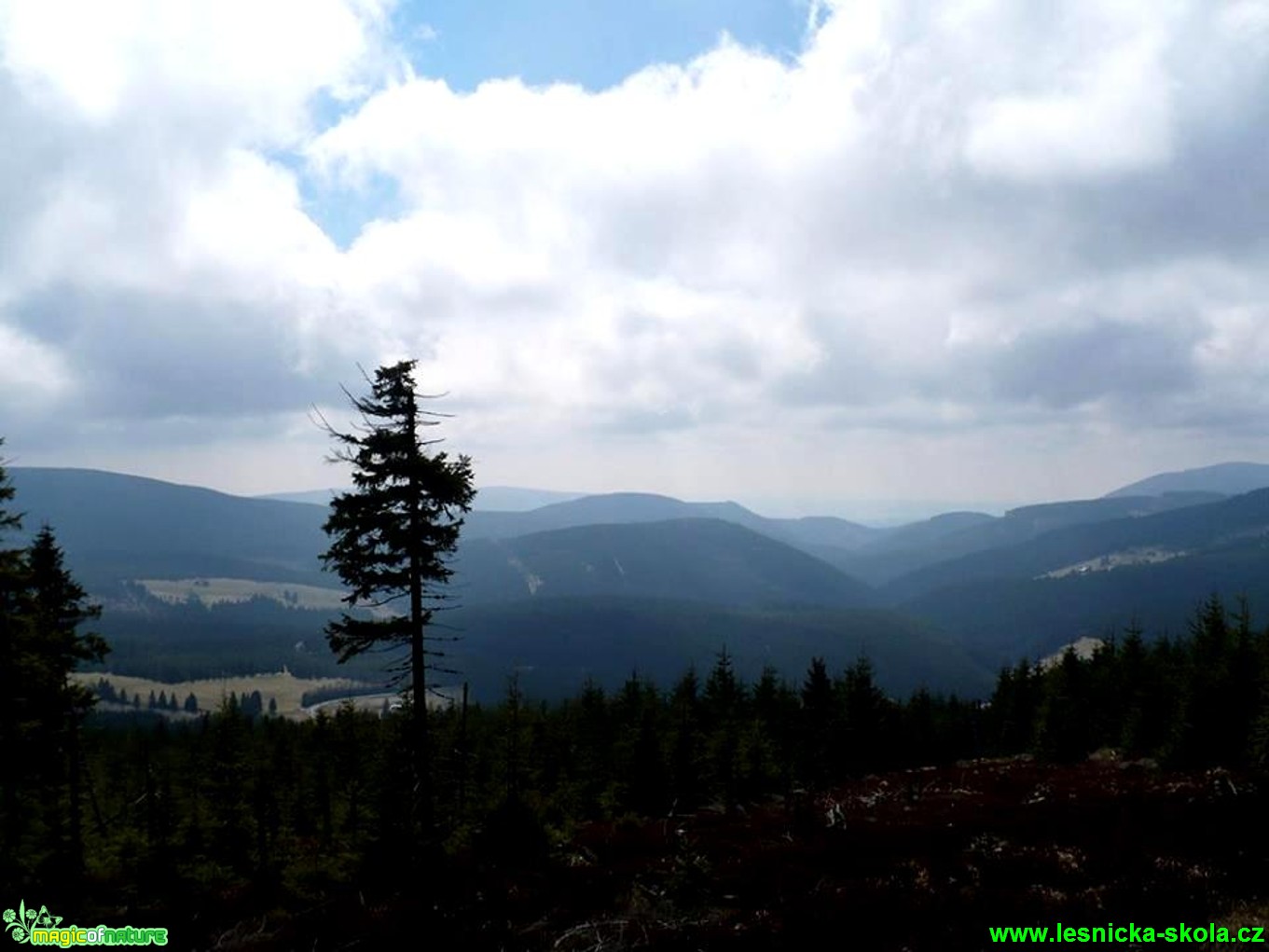 Krkonošské vrcholky - Foto Radka Mizerová