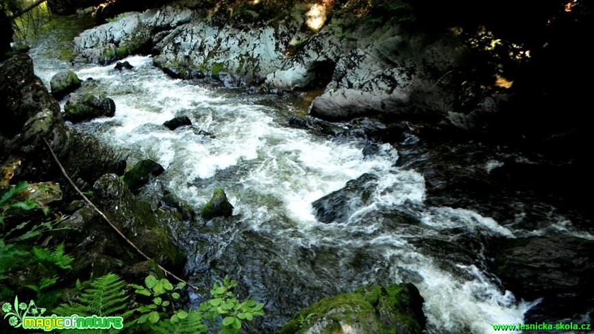 Kamenice - Foto Radka Mizerová (1)