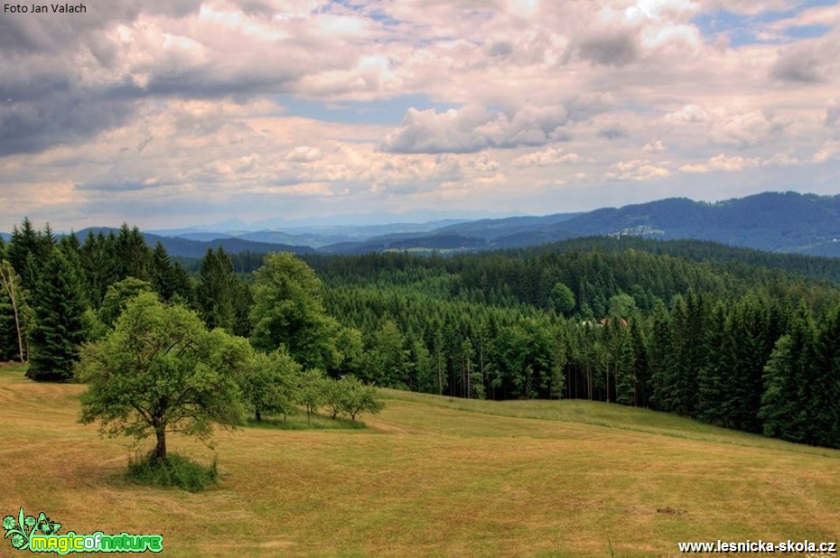 Gruň - Bíly kříž - Foto Jan Valach