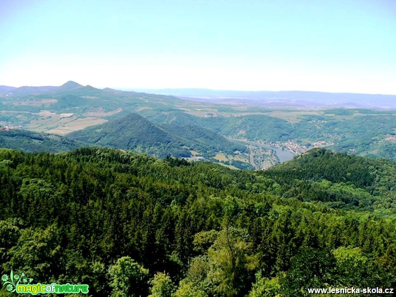 Zalesněná krajina - foto Radka Mizerová