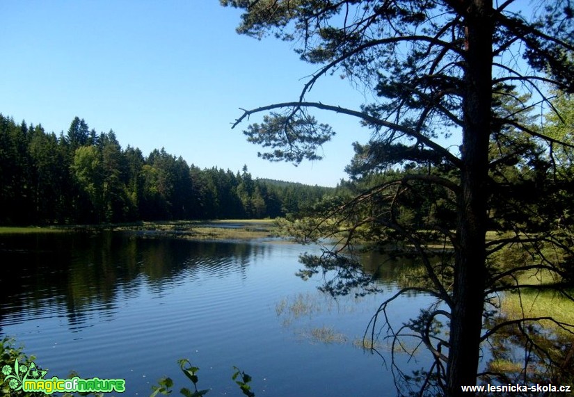 Gebharec - Foto Lída Burešová (1)