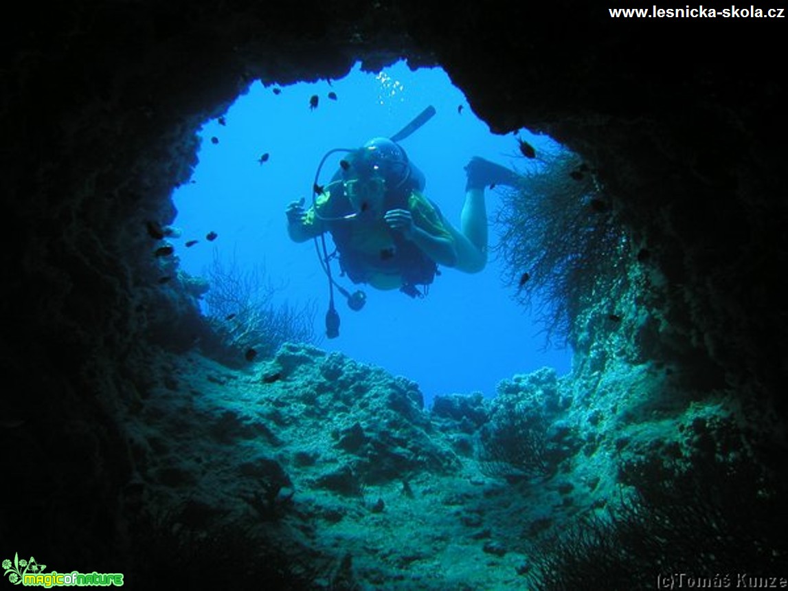 Pod hladinou - Egypt - Foto Tomáš Kunze