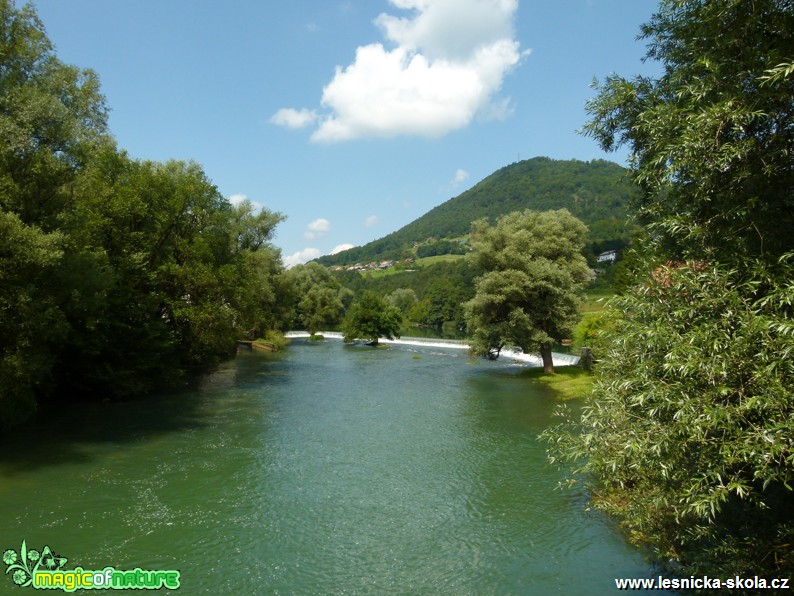 Slovinsko - jezero Bohijn - jezero Bled - cesta kolem řeky Krka - Foto Lukáš Málek (11)