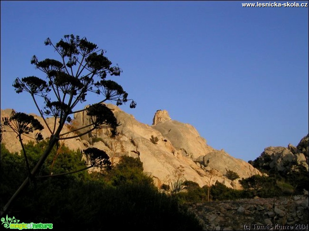 Sardinie - Foto Tomáš Kunze