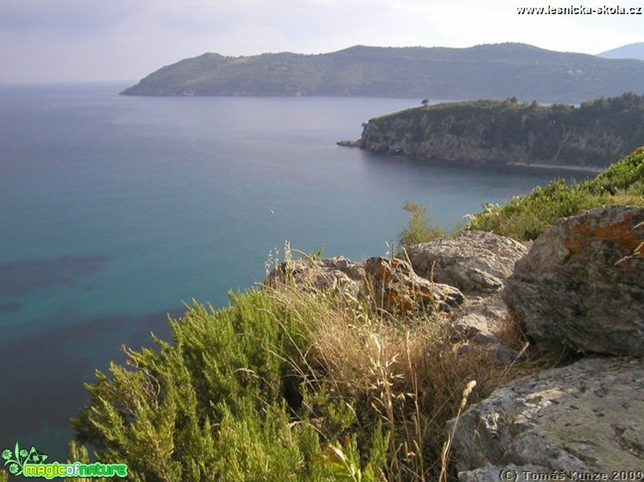 Elba Isola - 09 2012 - Foto Tomáš Kunze (62)