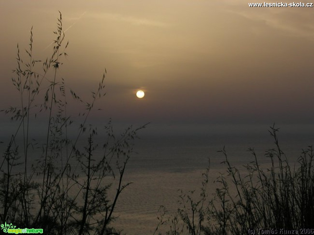 Elba Isola - 09 2012 - Foto Tomáš Kunze (100)