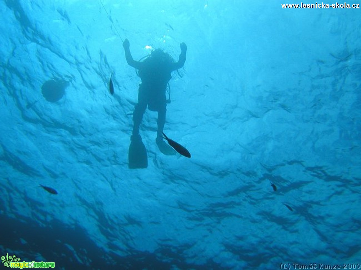 Potápění - Elba Isola - 09 2012 - Foto Tomáš Kunze  (3)