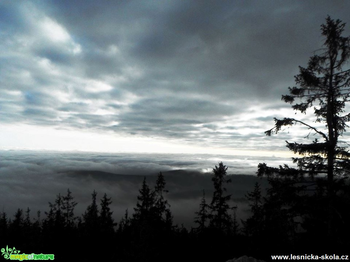 Inverze v Krkonoších - Foto Radka Mizerová