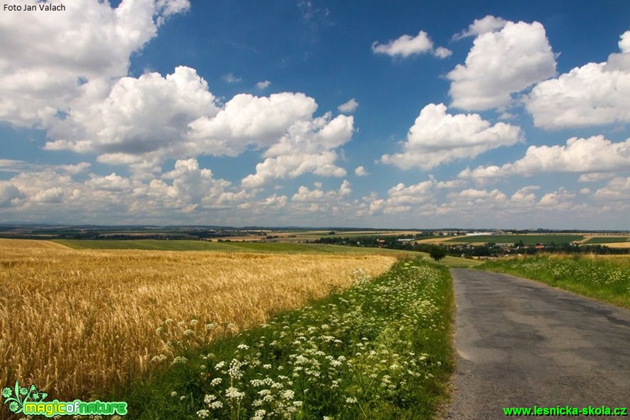 Zemědělská krajina - Foto Jan Valach (2)