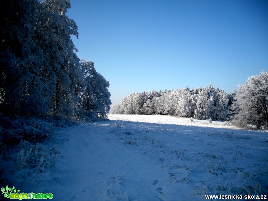 Zimní krajina na Šluknovsku - Foto Josef Vykoukal