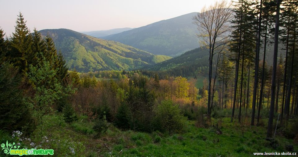 Lesy - Foto Jan Valach