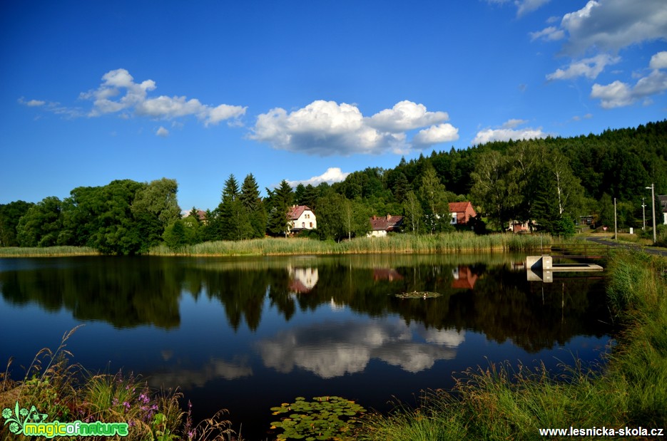 Karlínský rybník - Foto Zbyněk Tomek