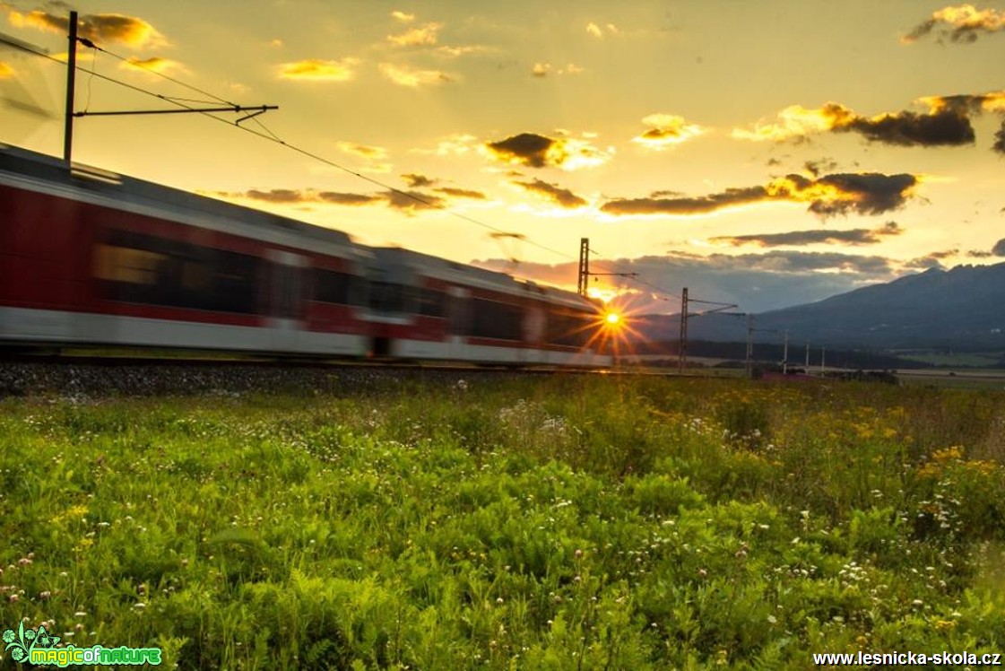 Cestou ke slunci - Foto Jozef Pitoňák