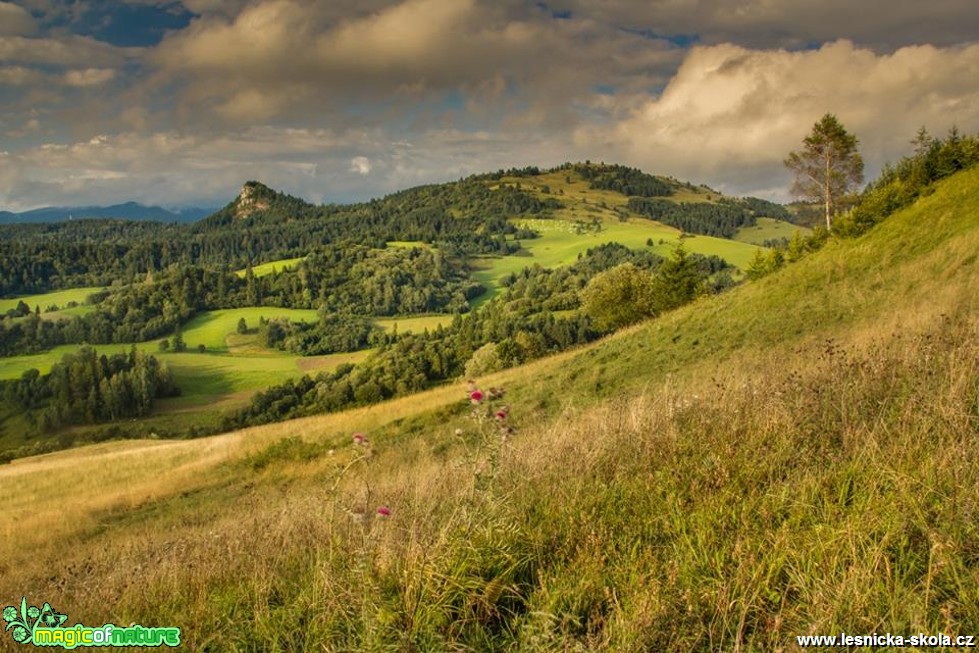 Lúky nad Lesnicou - Foto Jozef Pitoňák