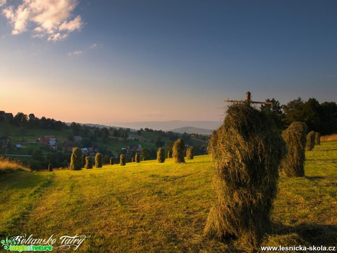 Senoseč - Foto Jozef Pitoňák (1)