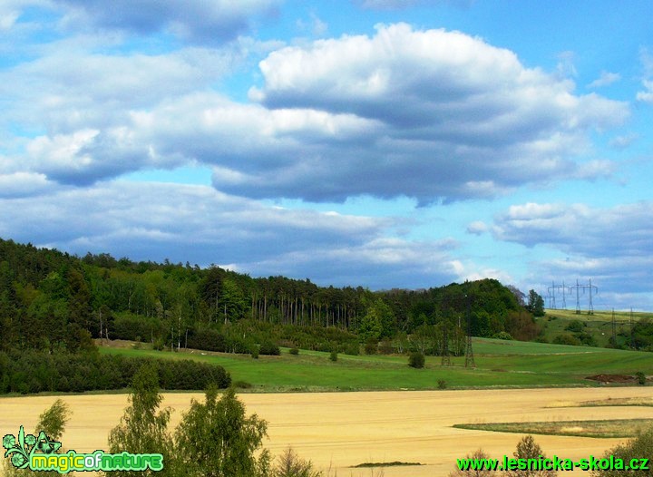 Brniště - Foto Michaela Knoppová