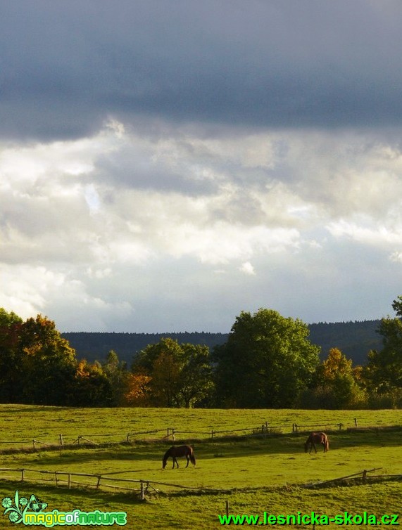 Krajina - Foto Michaela Knoppová