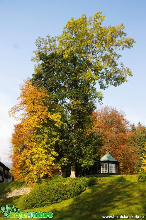 Podzim - Karlova Studánka - Foto Jan Valach