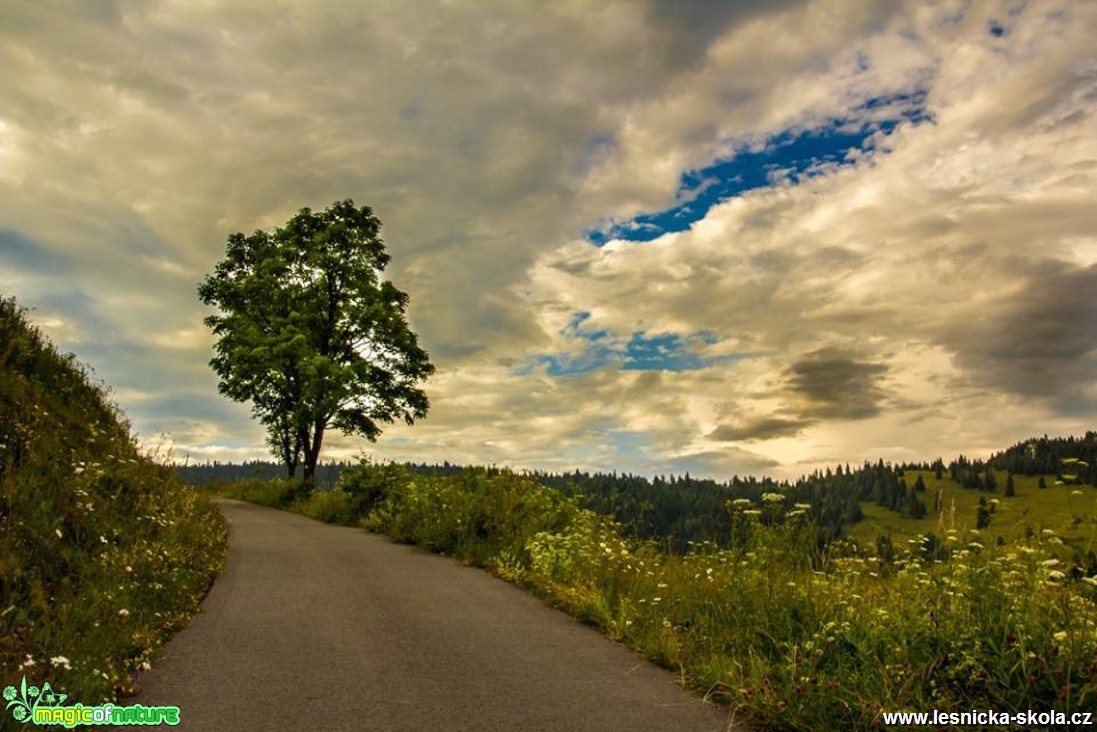 Nebe nad námi - Foto Jozef Pitoňák