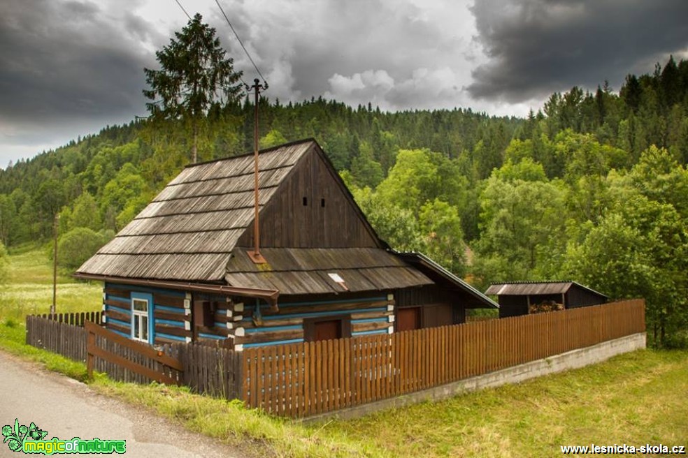 Osturňa - Foto Jozef Pitoňák (1)