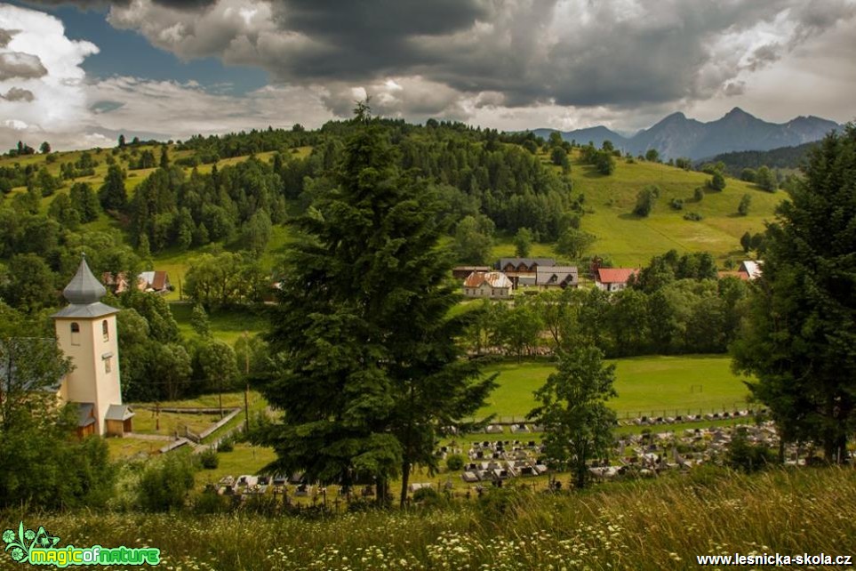 Osturňa - Foto Jozef Pitoňák