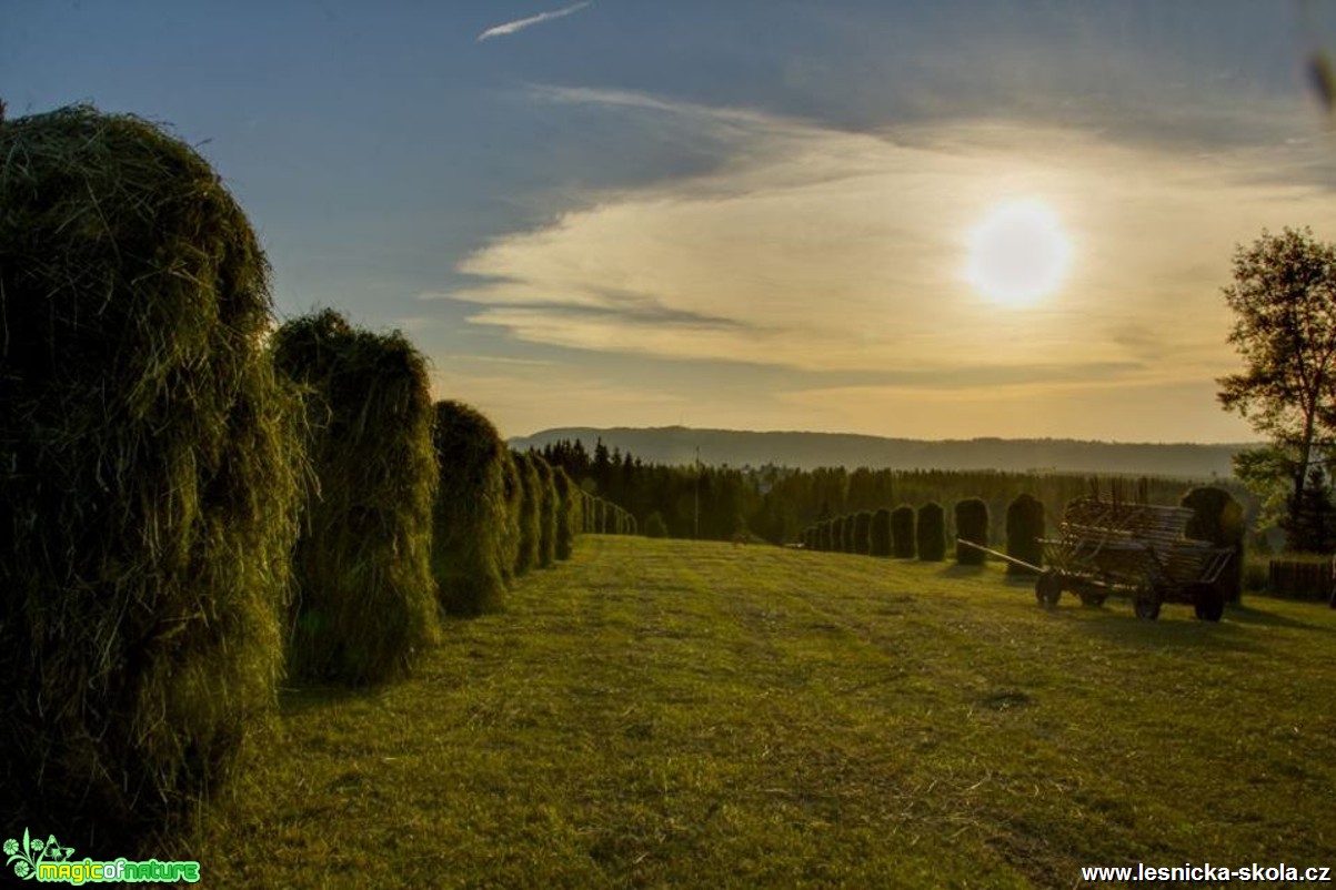 Senoseč na horách - Foto Jozef Pitoňák