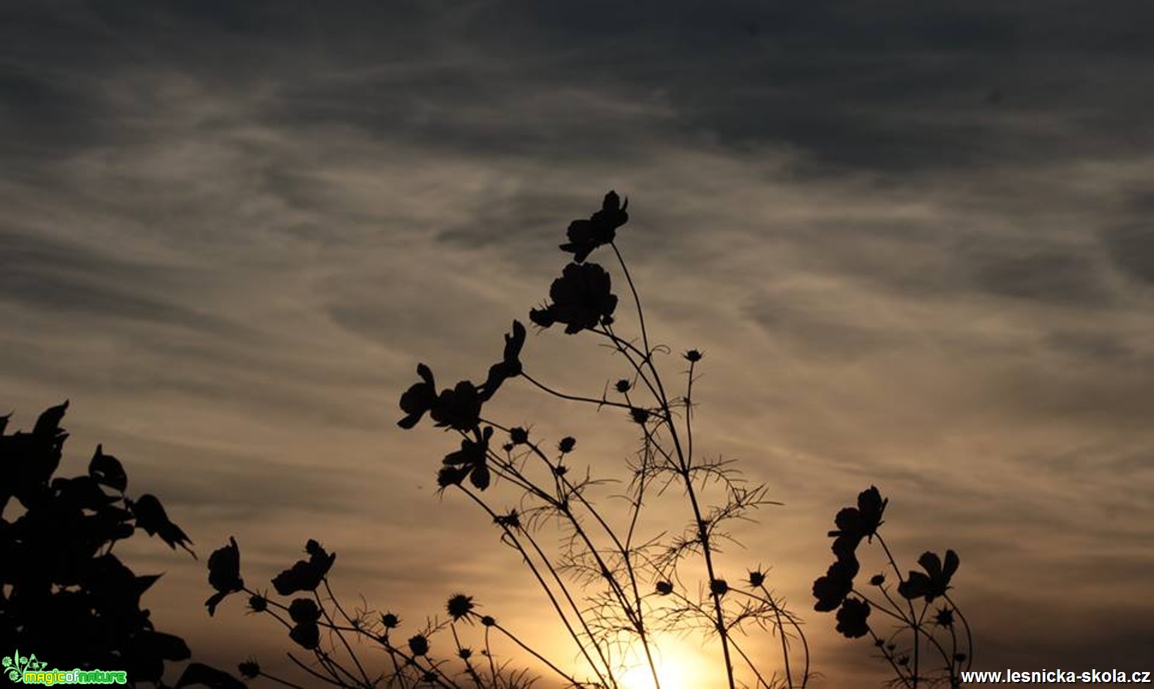 Při západu slunce - Foto Ladislav Jonák