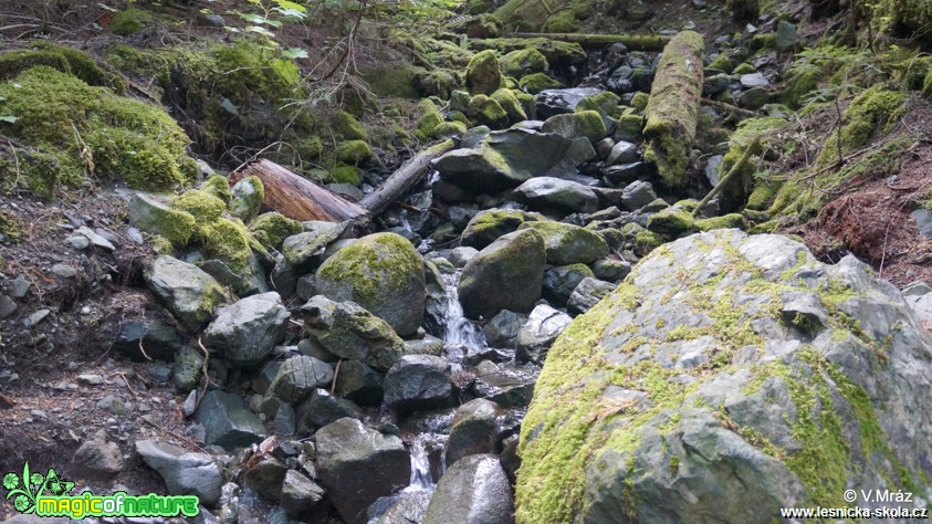 Garibaldi Provincial Park - BC - Foto Vojtěch Mráz (1)