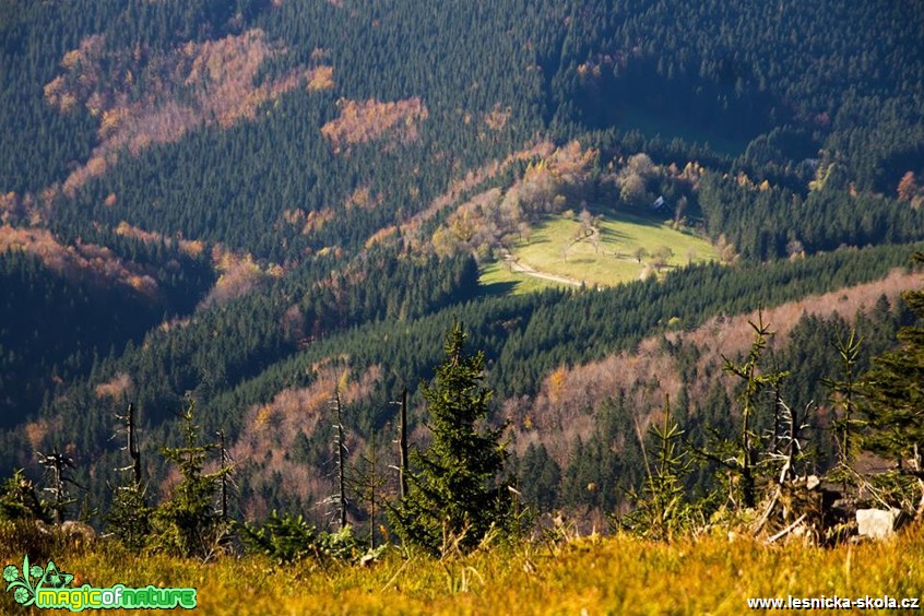 V kopcích - Foto Jan Valach