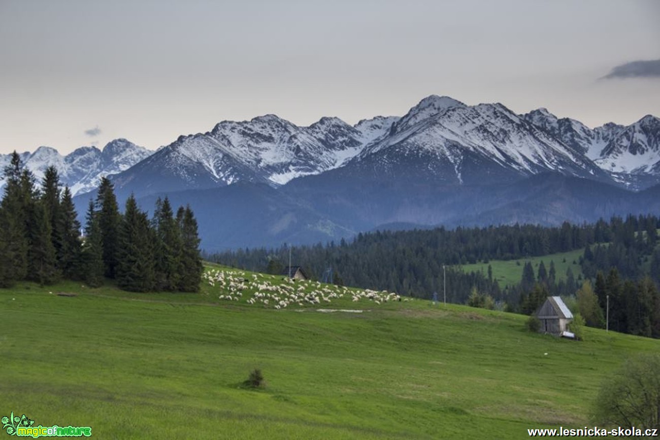 Tatry - Foto Jozef Pitoňák (3)