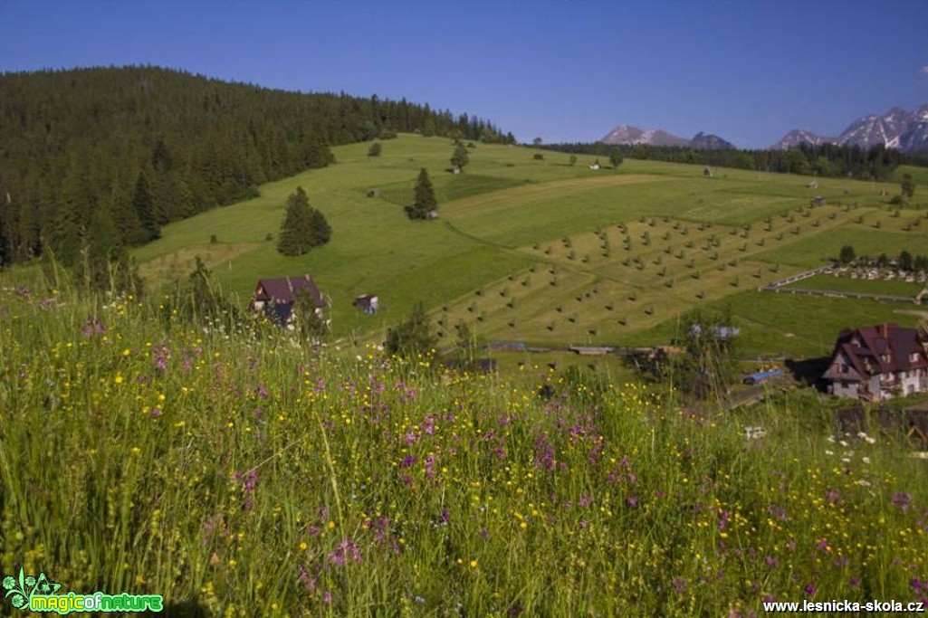 Tatry - Foto Jozef Pitoňák