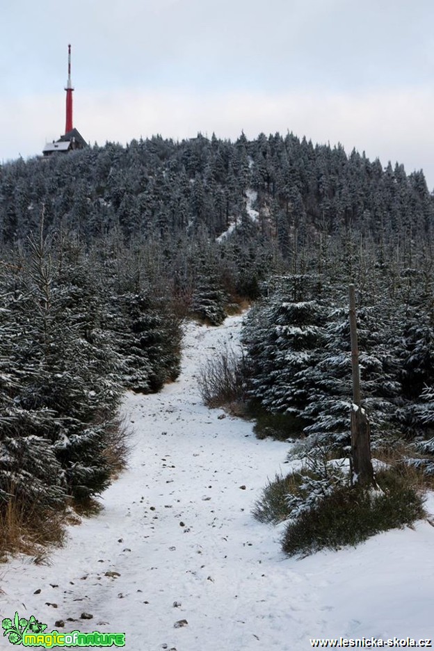 Lysá hora 26.11.2014 - Foto Jan Valach (1)