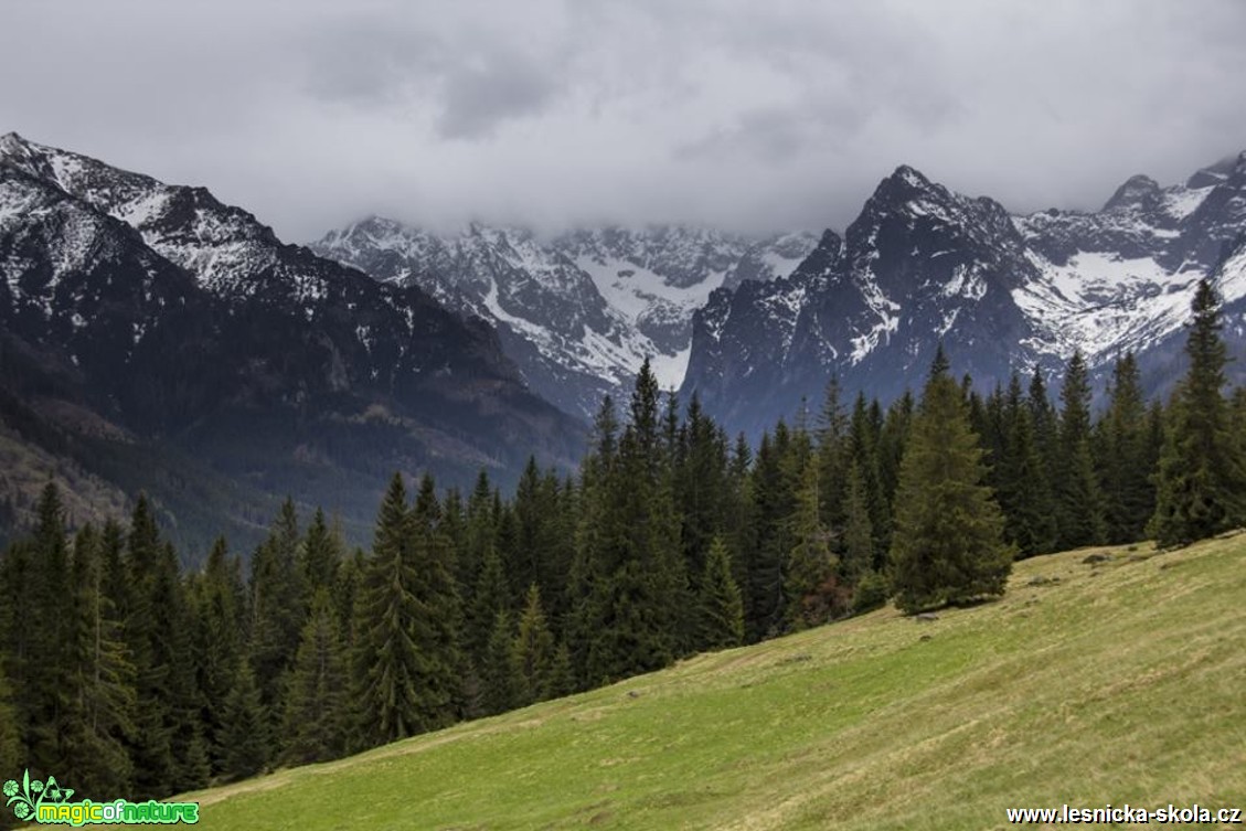 Bielovodská dolina - Foto Jozef Pitoňák