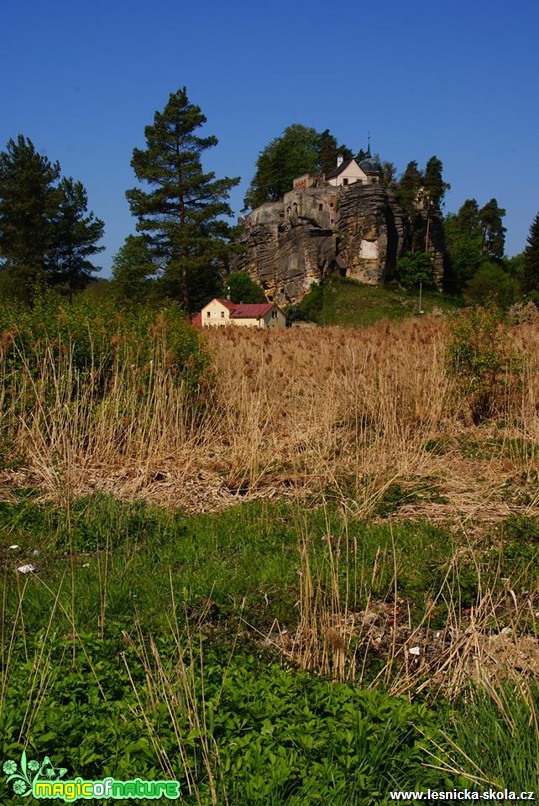 Novoborsko - Foto Petr Germanič