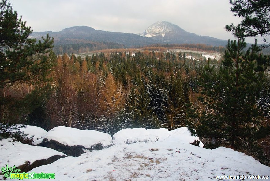 Prosinec na Novoborsku - Foto Petr Germanič (4)