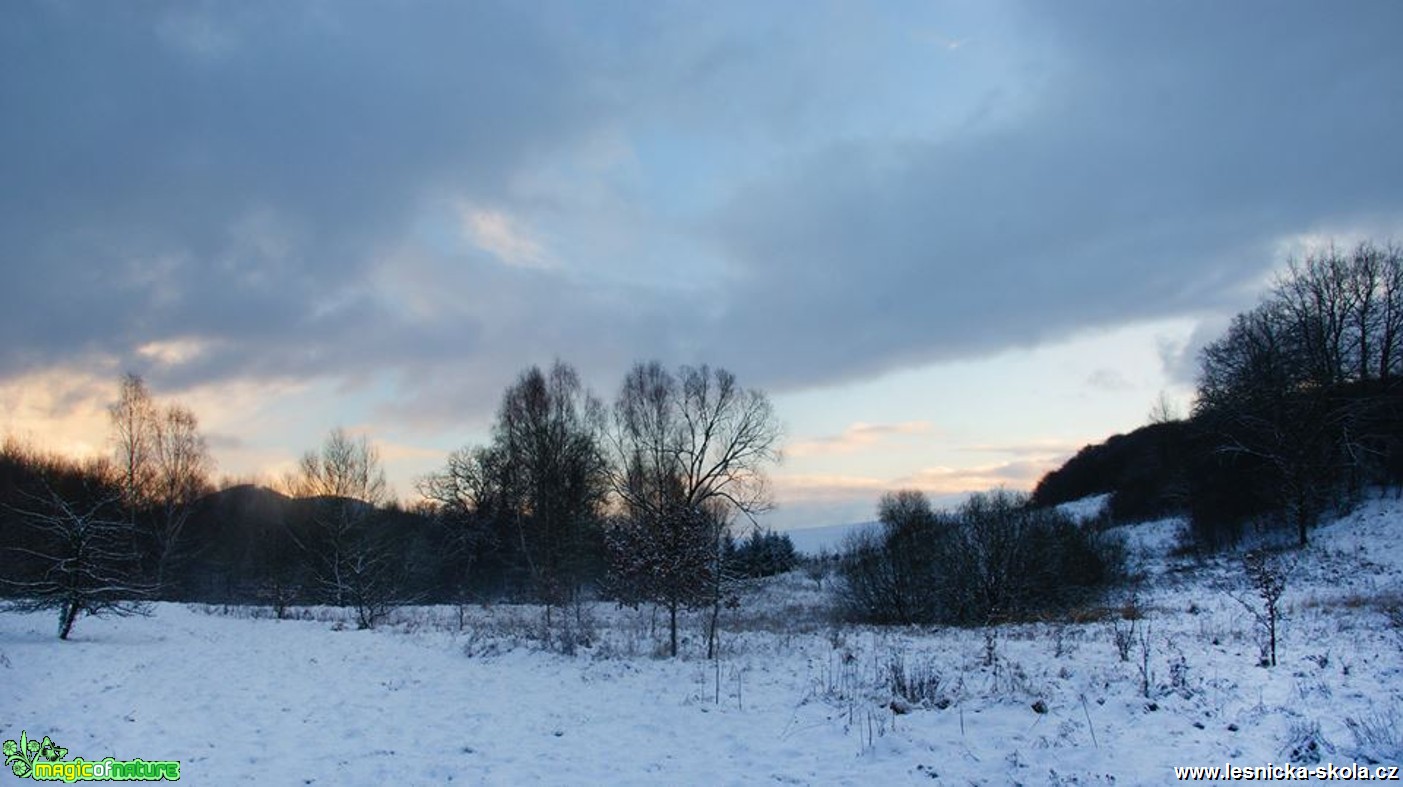 Prosinec na Novoborsku - Foto Petr Germanič