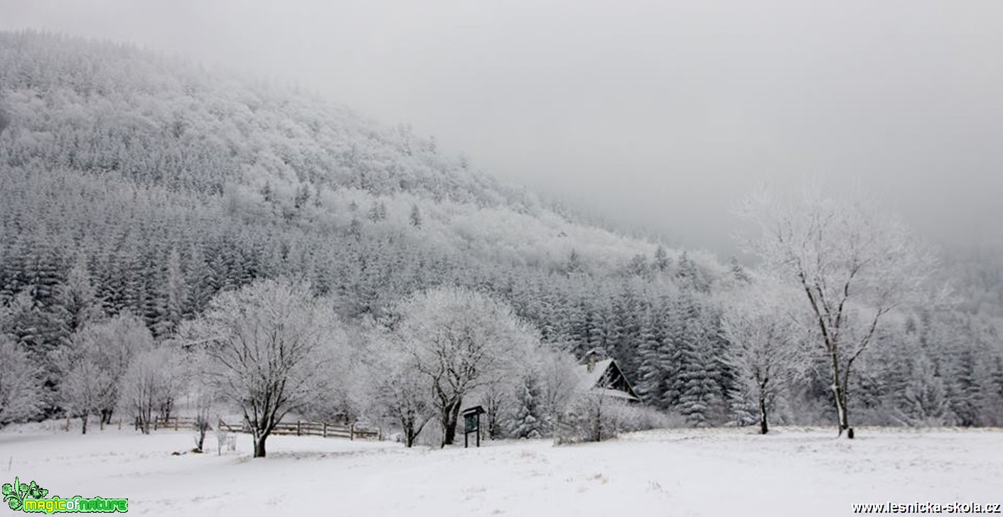 Po červené na Lysou 30. 12. 2014 - Foto Jan Valach