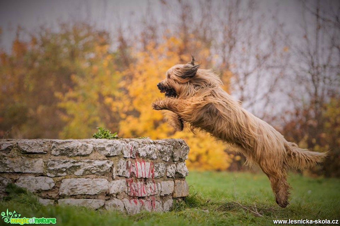 Jolly (Contra la Corriente Velmond) - Foto Jiří Křivánek (3)