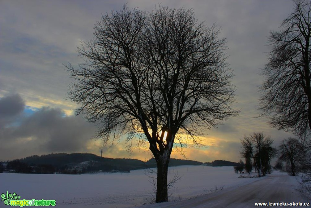 Vysočina - Foto Ladislav Jonák