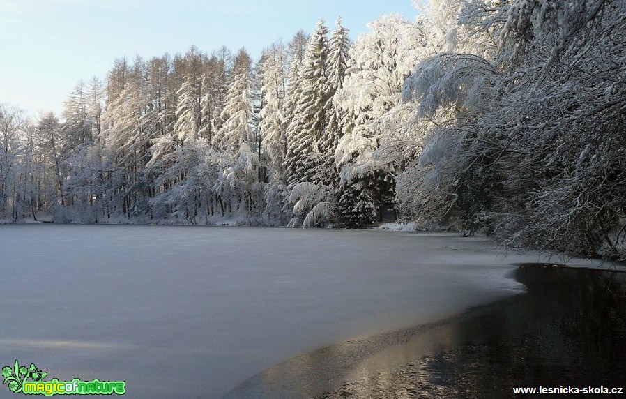 Zima - Foto Pavel Stančík (3)
