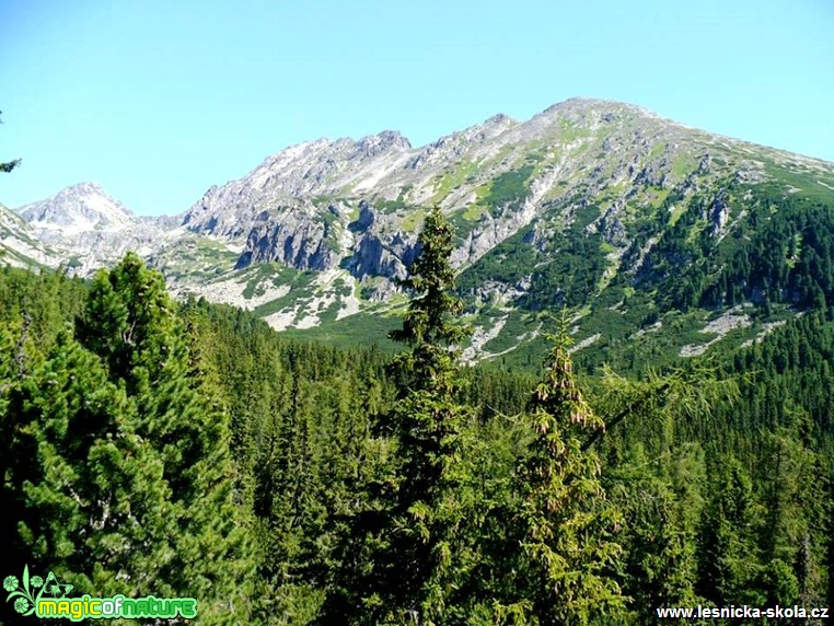 Vysoké Tatry - Foto Radka Mizerová