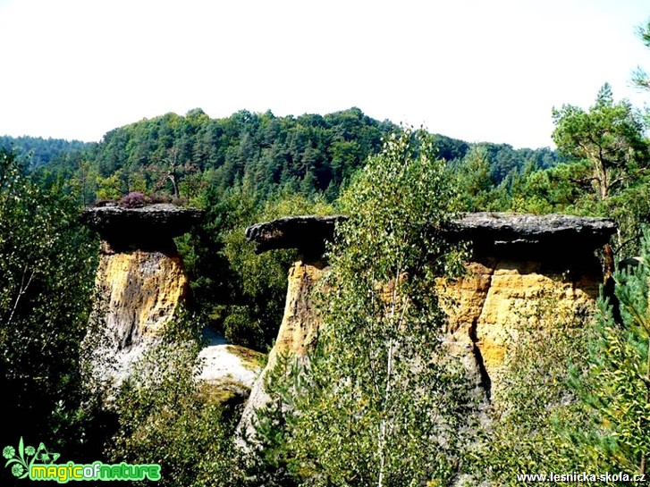 Kokořínsko - Pokličky - Foto Radka Mizerová