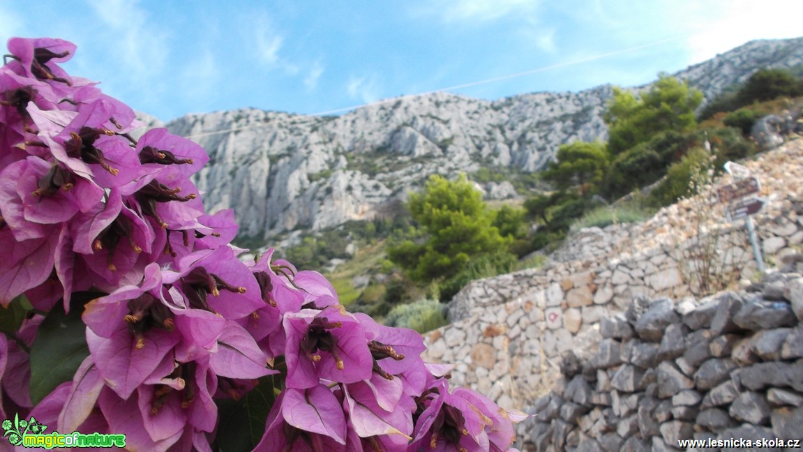 Chorvatsko - ostrov Hvar - Foto Jakub Gregor (6)