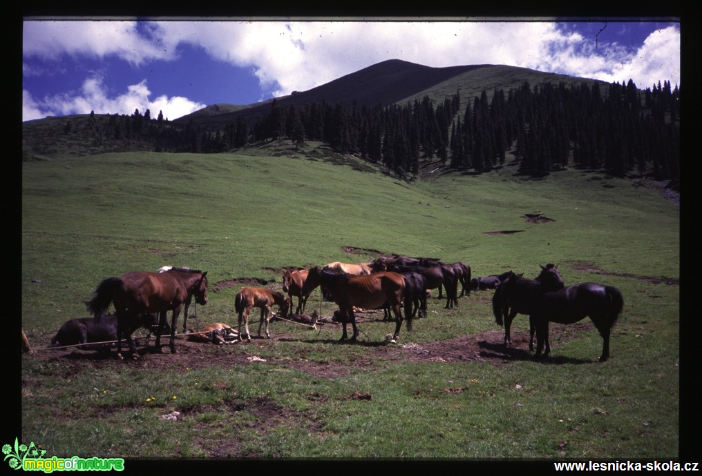 Tibet - Ťan-Šan - Foto Jaroslav Pávek (10)