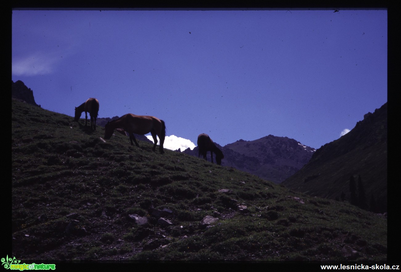 Tibet - Ťan-Šan - Foto Jaroslav Pávek (11)